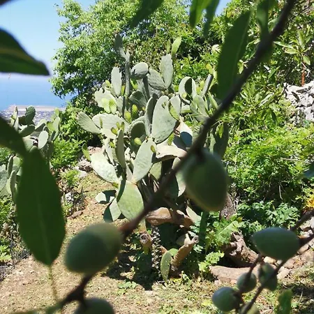 Guest house Alessandra Experience
